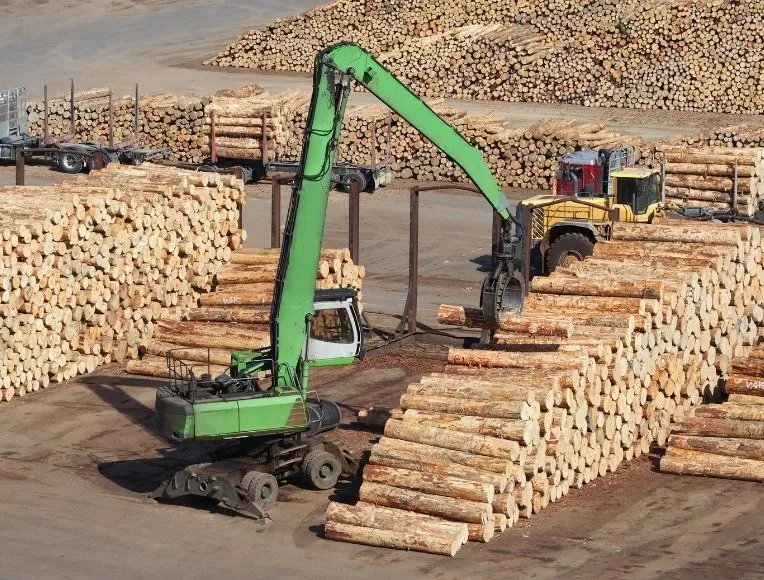 Le bois de chauffage : de la forêt à votre foyer BOIS DE CHAUFFAGE ECOLOGIQUE