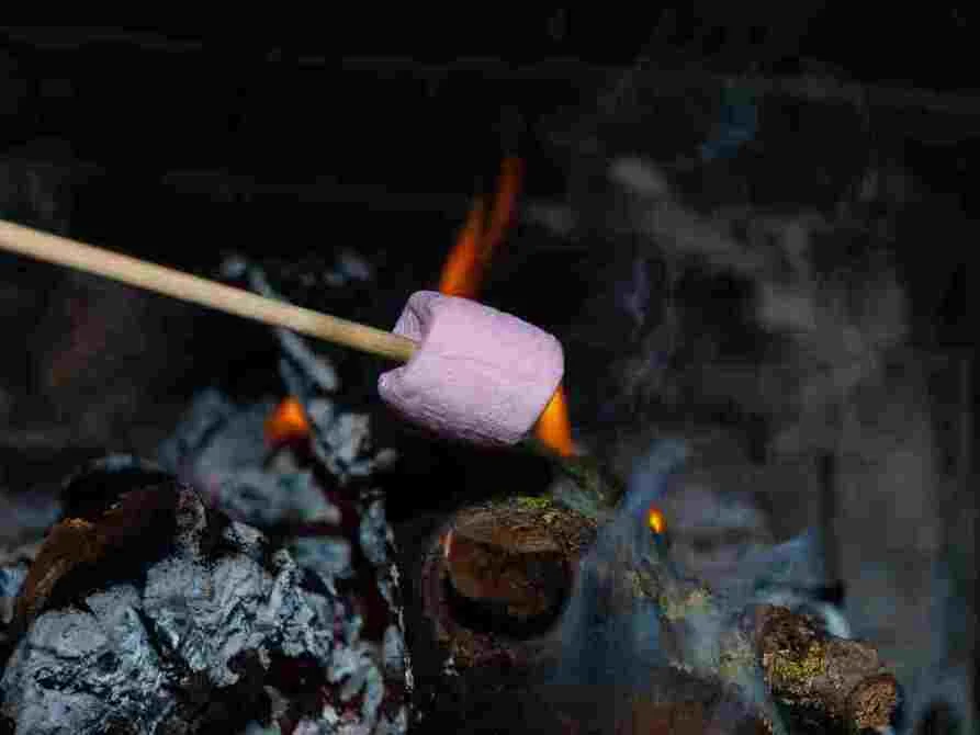 Faire plaisir à vos enfants : les shamallows grillés ! BOIS DE CHAUFFAGE ECOLOGIQUE