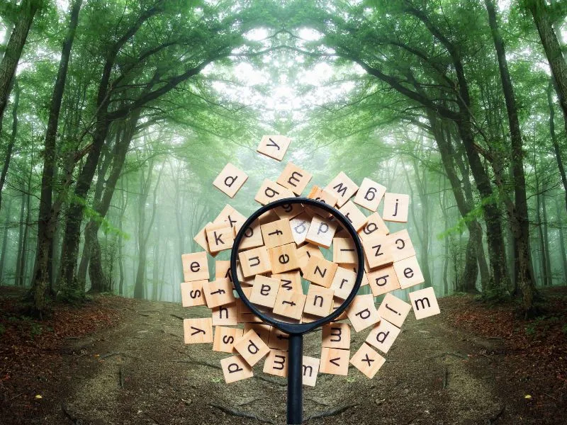 Comprendre le vocabulaire du bois de chauffage : le guide pour s'y retrouver