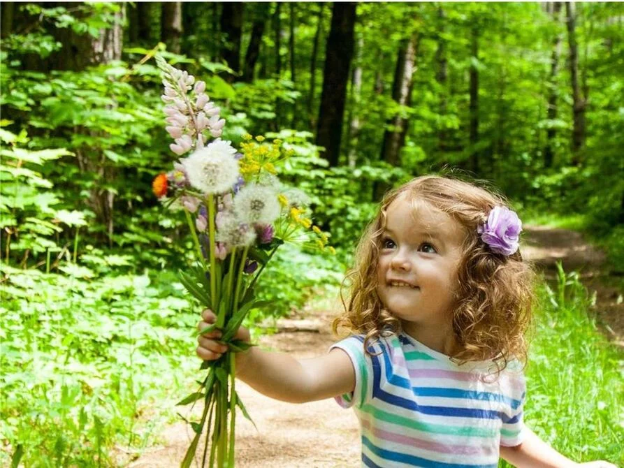 Les bienfaits de la forêt sur notre organisme BOIS DE CHAUFFAGE ECOLOGIQUE